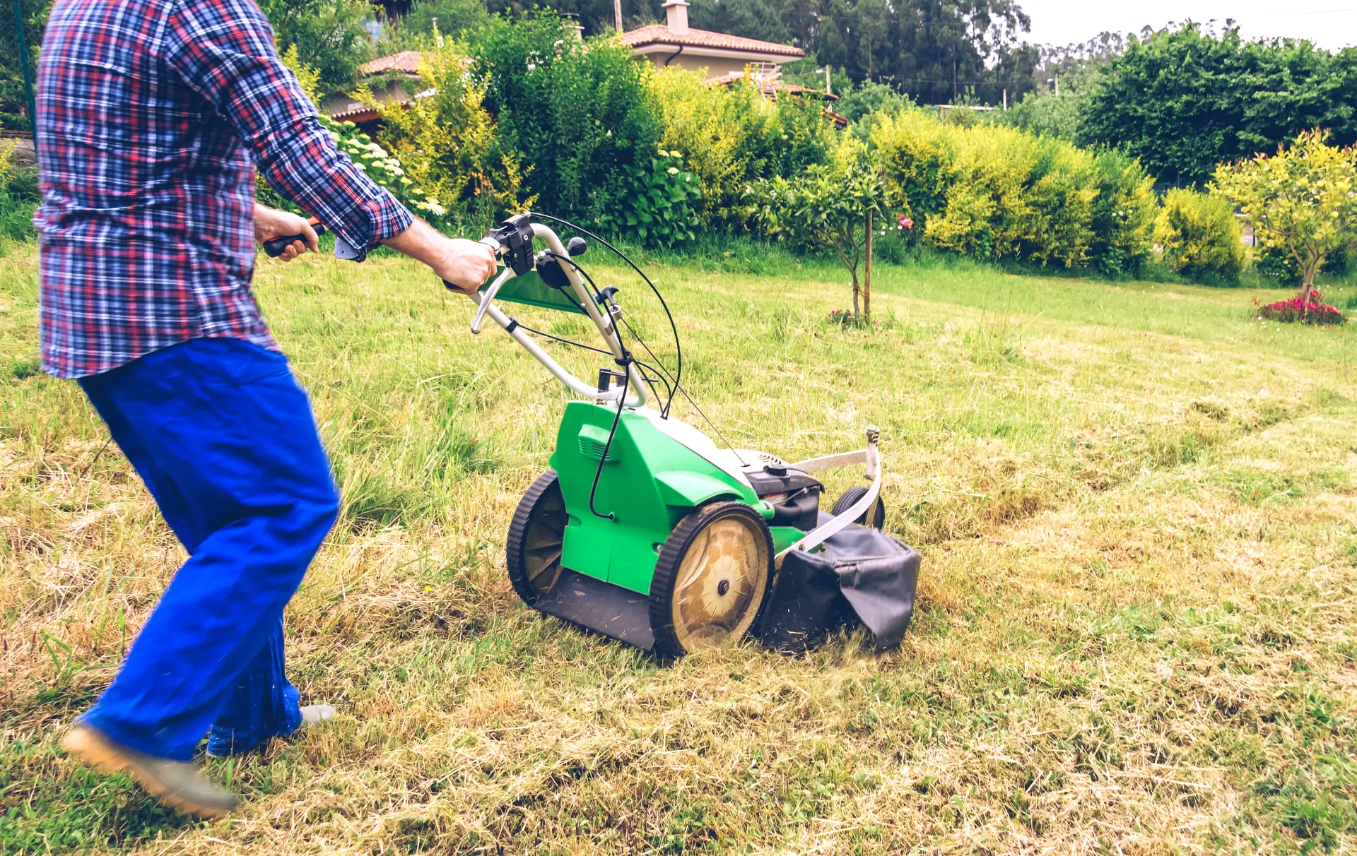 Why Rotary Mowers Are Ideal for Most Garden Types Image
